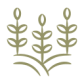 icon-1